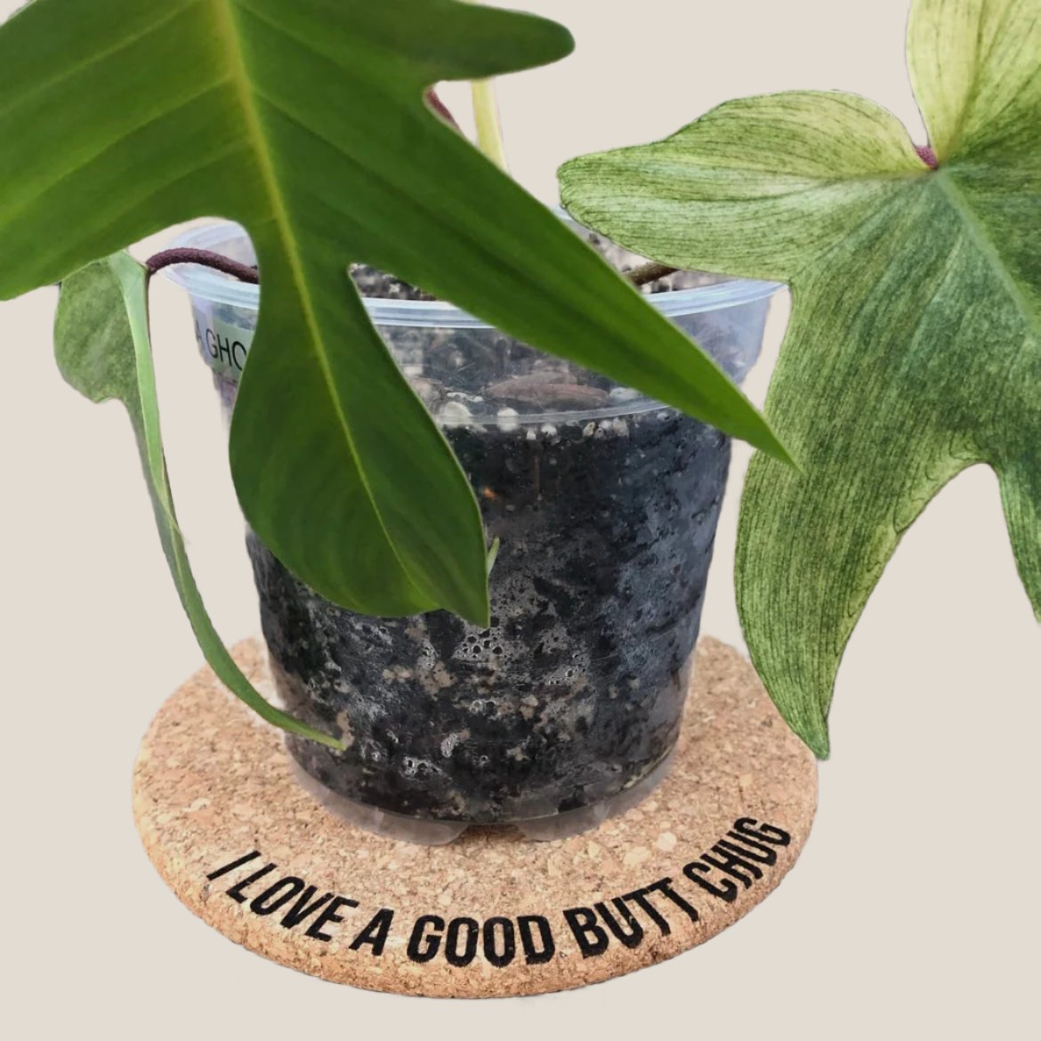 4inch Cork Plant Mats