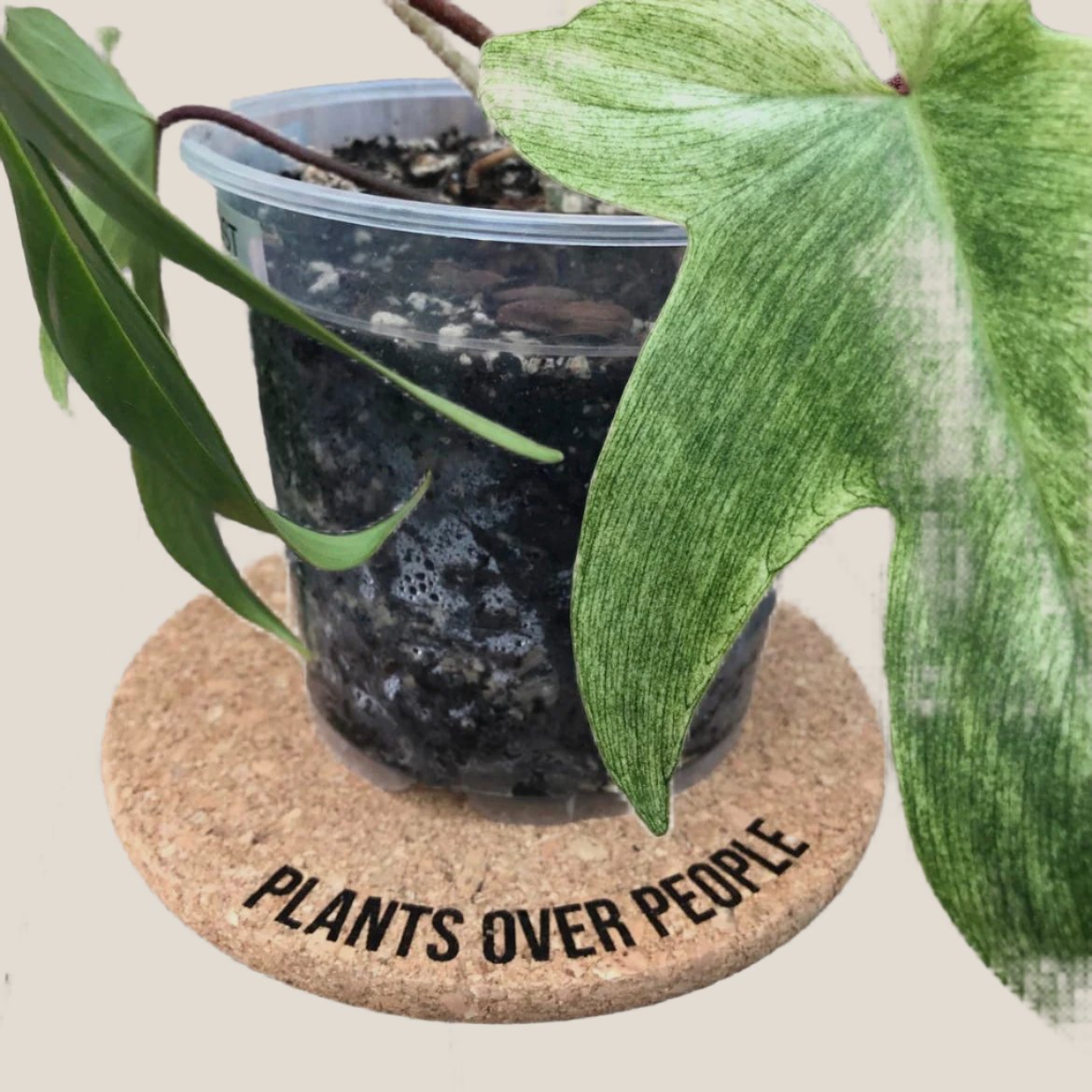 4inch Cork Plant Mats