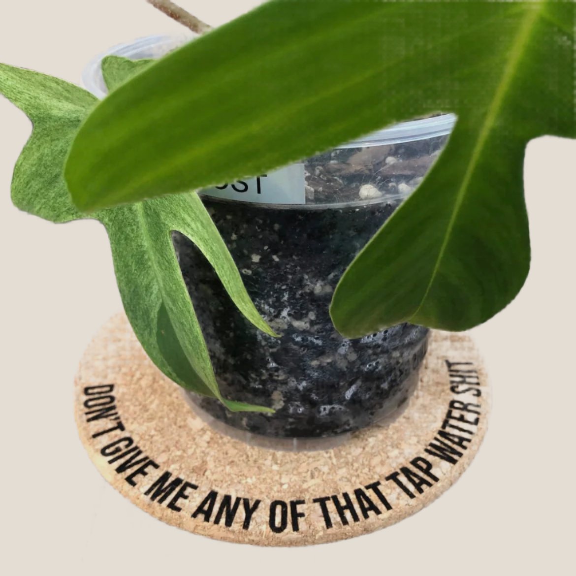 indoor plant mats 4inch Cork Plant Mats