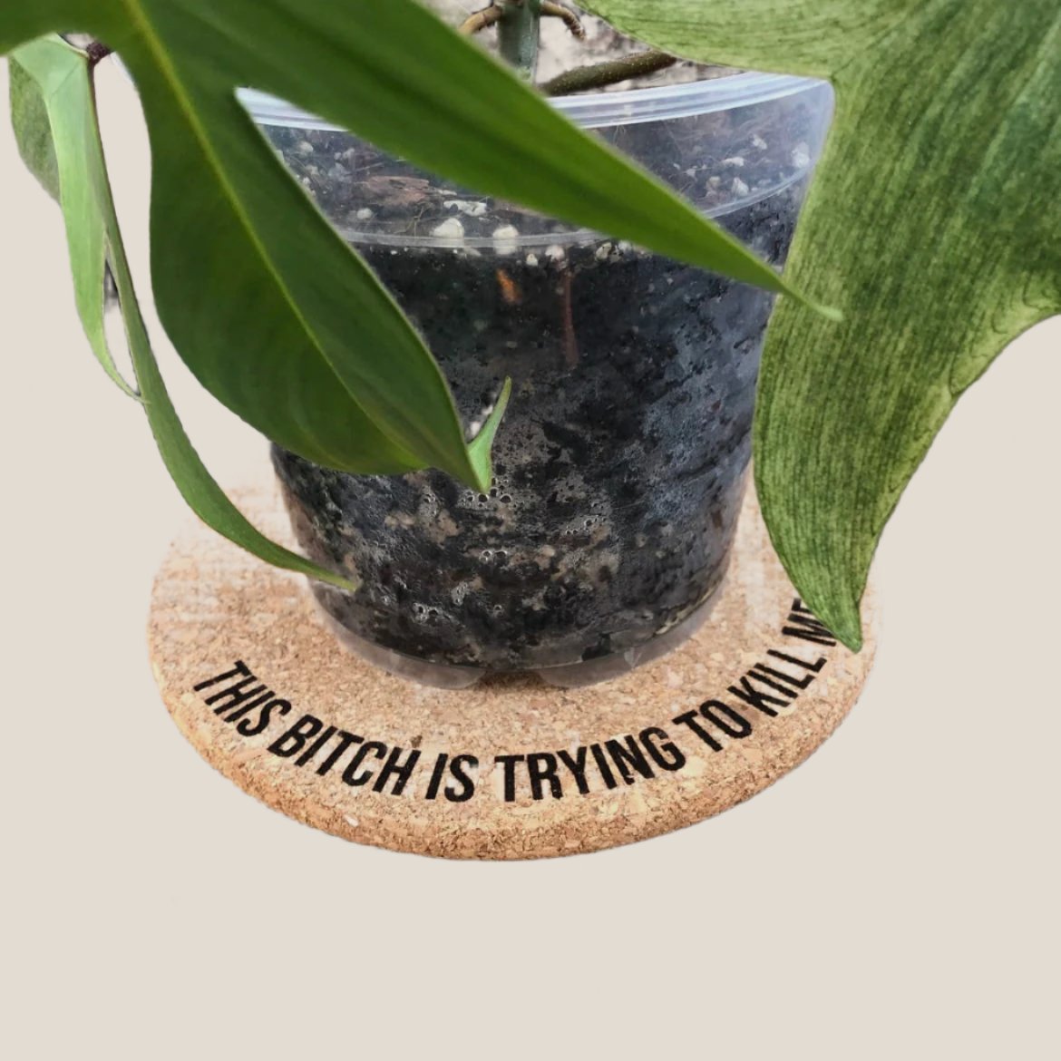 4inch Cork Plant Mats